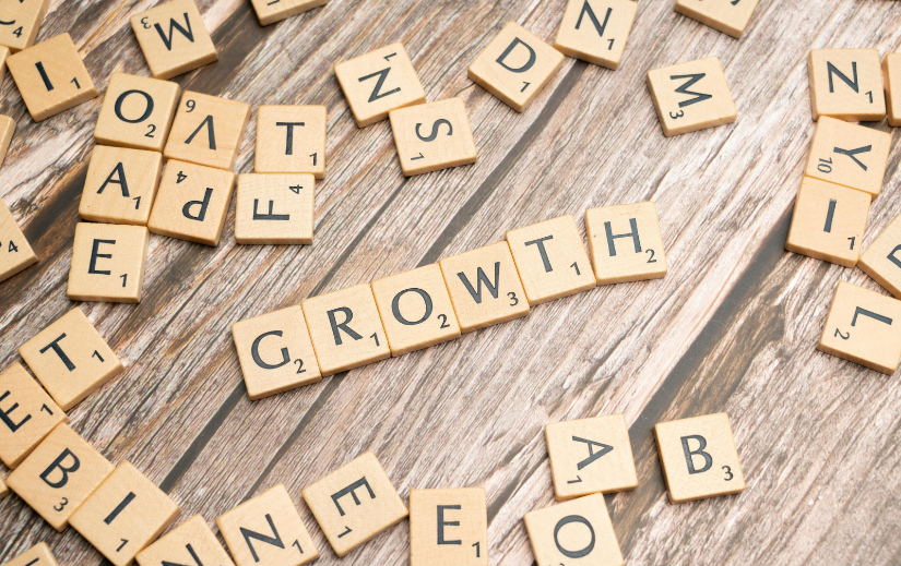 1735817148460.Article Images (31)